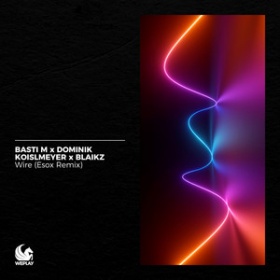 BASTI M X DOMINIK KOISLMEYER X BLAIKZ - WIRE (ESOX REMIX)